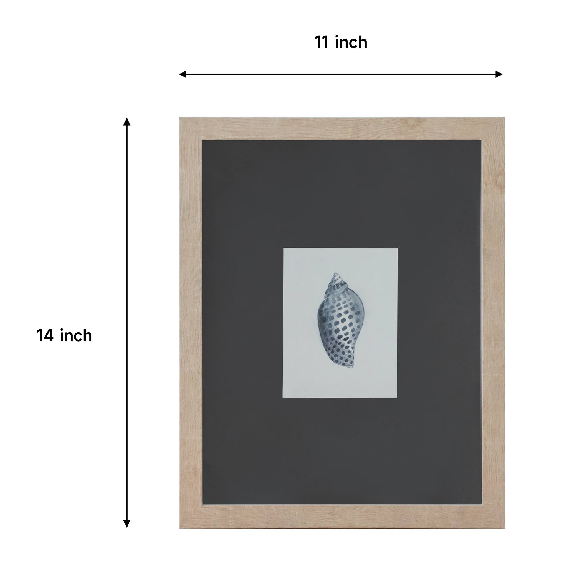11" x 14" Blue Spotted Shell Art Wall Décor by Ashland®